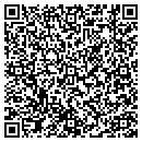 QR code with Cobra Systems Inc contacts