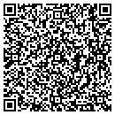 QR code with County Of Isabella contacts