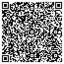 QR code with Borey Electric Inc contacts