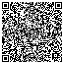 QR code with Christine E Brown Lcs contacts