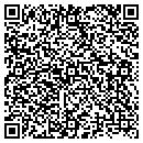 QR code with Carrier Access Corp contacts