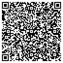 QR code with C D Electric Service contacts