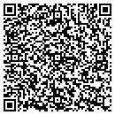 QR code with Carmen R Gillett Pllc contacts