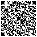QR code with Public Storage contacts