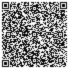 QR code with Pullingstrings Academy LLC contacts