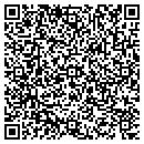 QR code with Chi T Nguyen D D S P A contacts