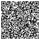 QR code with Baldi Electric contacts