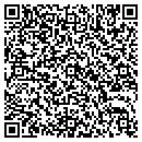 QR code with Pyle Michael A contacts