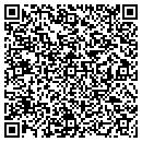QR code with Carson Tahoe Electric contacts