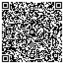 QR code with Pt Steve Cht Wixom contacts