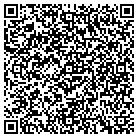 QR code with Pullan Richard W contacts