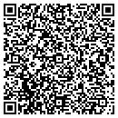 QR code with Prince Electric contacts