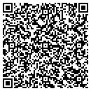 QR code with Blystone Musti Alexis contacts