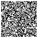 QR code with Clear View Enterprise contacts
