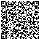 QR code with Pulliam Dallas L DDS contacts