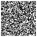 QR code with Premier Dental contacts