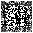 QR code with Price Electric Inc contacts