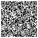 QR code with Project One contacts