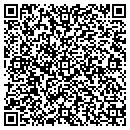 QR code with Pro Electrical Systems contacts