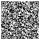 QR code with Pump Systems contacts