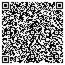 QR code with Colorado Instruments contacts