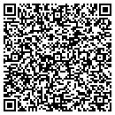 QR code with Pt Fencing contacts