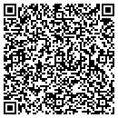 QR code with City Of Oglethorpe contacts