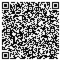 QR code with Dingo Electric contacts
