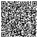 QR code with Msad 61 contacts