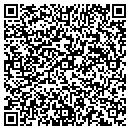 QR code with Print Polish LLC contacts