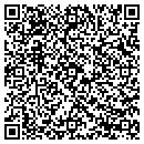 QR code with Precision Power Inc contacts