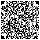 QR code with Productive Electric LLC contacts