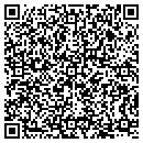 QR code with Brink Jeffrey J DDS contacts