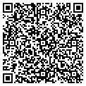 QR code with Ny Pie contacts