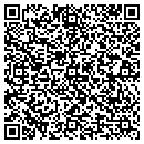 QR code with Borrego Pass School contacts