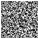 QR code with Chenango Forks contacts