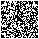 QR code with Chenango Valley Csd contacts