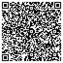 QR code with Co Driving Institute contacts