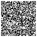 QR code with Carter Electric CO contacts
