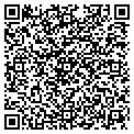 QR code with Masjid contacts