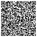 QR code with Borough Of Lake Como contacts