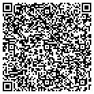 QR code with Plumbline Services contacts