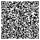 QR code with Cybertech Systems Inc contacts