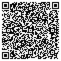 QR code with Pace Car contacts