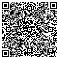 QR code with Skeins contacts