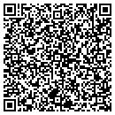 QR code with City Of Michigan contacts
