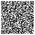 QR code with D Cameron Inc contacts