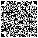 QR code with Pro Tech Systems Inc contacts