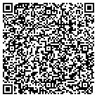 QR code with Public Safety Building contacts
