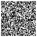 QR code with Chapman Twp Building contacts